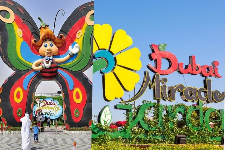 Explore the colorful world of Dubai's Miracle Garden and Butterfly Garden where every corner offers stunning flower displays and delightful butterflies perfect for memorable moments and family fun.